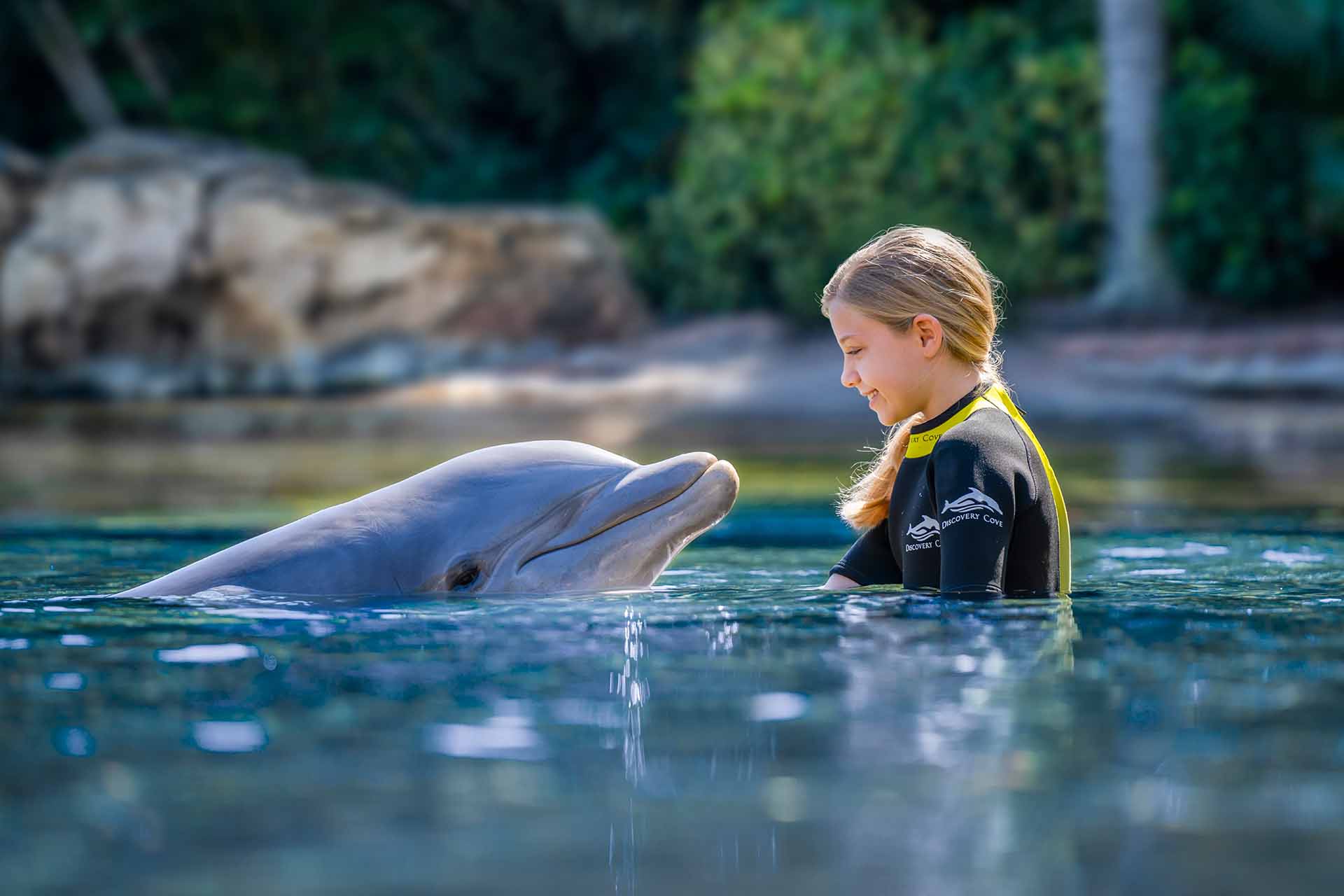 Mädchen schwimmt mit einem Delfin in Discovery Cove