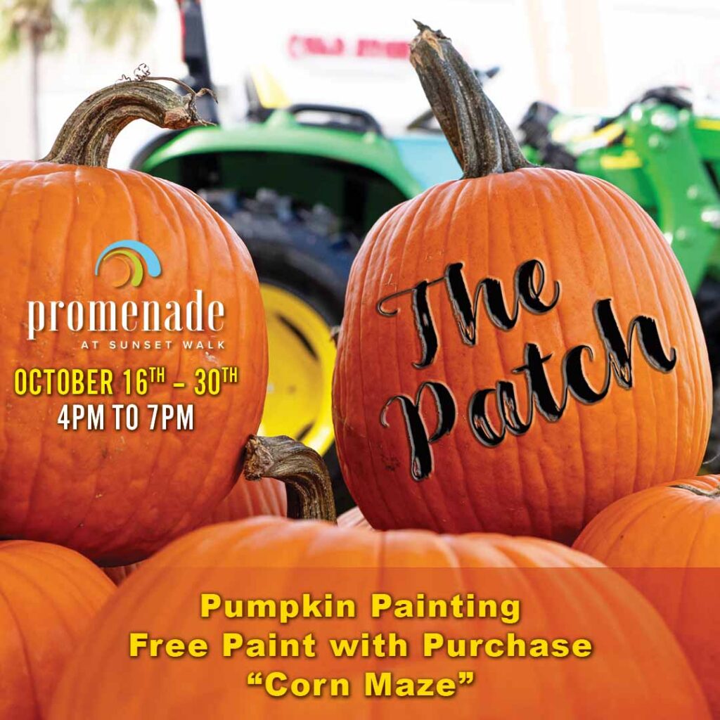 The Patch: Pumpkin Painting, Free Paint with Purchase, Corn Maze, 4–7 PM, October 16–30, 2026